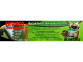 entengo-herbal-pdts-for-men-call-0027735482823-capetown-small-0