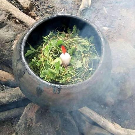 best-native-doctor-big-4