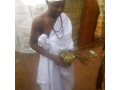 the-most-powerful-spiritual-traditional-herbalist-and-native-doctor-small-4