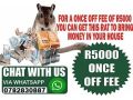 supreme-witchdoctor-and-money-specialist-in-el-alto-city-in-bolivia-call-27782830887-in-johannesburg-and-pietermaritzburg-south-africa-small-1