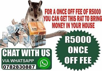 supreme-witchdoctor-and-money-specialist-in-el-alto-city-in-bolivia-call-27782830887-in-johannesburg-and-pietermaritzburg-south-africa-big-1
