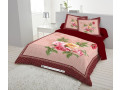 double-size-cotton-bed-sheet-set-with-two-pillow-cover-small-2