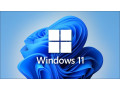 windows-11-pro-small-0