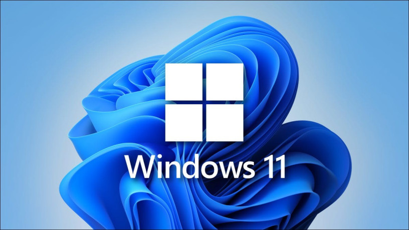 windows-11-pro-big-0