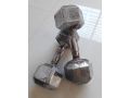 chrome-hexa-dumbbells-small-2