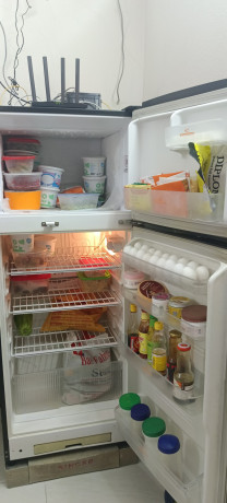 deep-fridge-and-normal-and-deep-long-fridgefor-sale-big-1