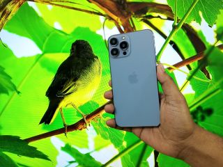 iphone-13-pro-max-uk-high-master-copy