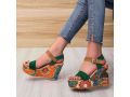 fashionable-ladies-shoes-small-2