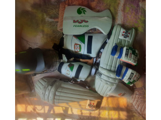 Cricket set