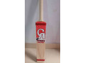 cricket-bat-small-0