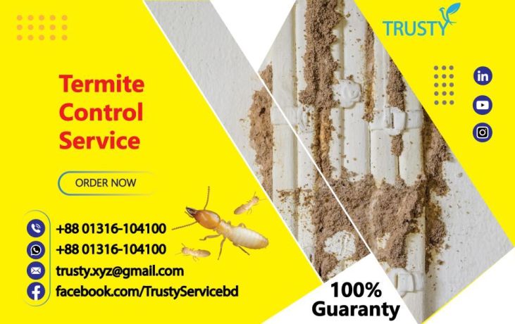 uipoka-apnar-badi-kingba-kather-toiri-skher-farnicar-nsht-kre-dicche-big-0