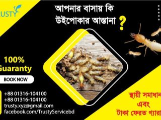 uipoka-apnar-basa-badi-ebng-skher-farnicar-nsht-kre-dicche