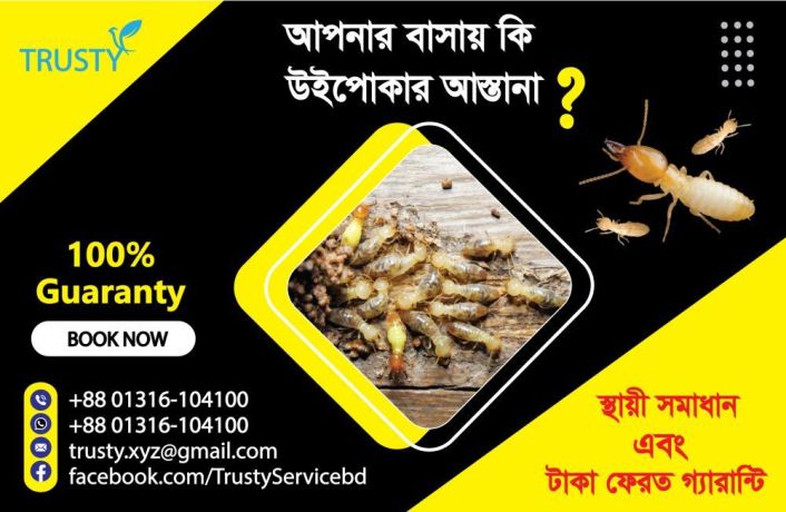 uipoka-apnar-basa-badi-ebng-skher-farnicar-nsht-kre-dicche-big-0