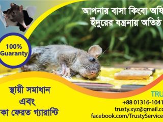 apni-ki-inndurer-zntrnay-otishth