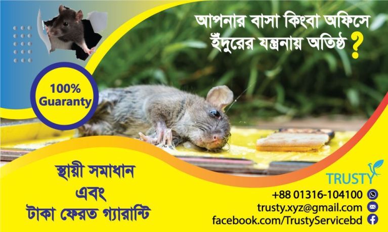 apni-ki-inndurer-zntrnay-otishth-big-0