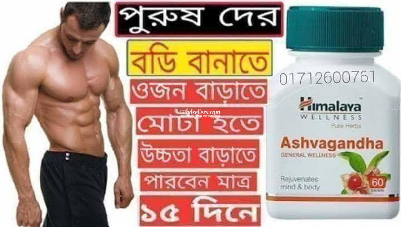 himalaya-ashvagandha-general-wellness-big-0