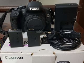 canon-800d