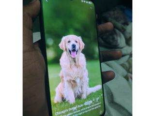 vivo-v11-pro